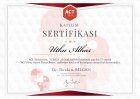 Klinik Psikolog  Utku Alhas Psikoloji sertifikası