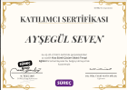 Psk. Ayşegül Seven Psikoloji sertifikası