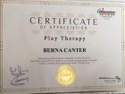 Uzm. Dr. Berna Yinanç Diğer sertifikası