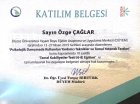 Uzm. Psk. Dan. Özge Çağlar Psikolojik Danışman sertifikası