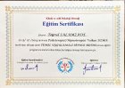 Uzm. Psk. Toğrul Salamzade Psikoloji sertifikası