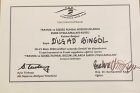 Uzm. Dr. Dilşad Bingöl Psikiyatri sertifikası
