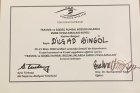 Uzm. Dr. Dilşad Bingöl Psikiyatri sertifikası