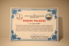 Uzm. Psk. Dan. Zeynep Cengiz Psikolojik Danışman sertifikası
