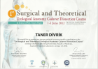 Prof. Dr. R. Taner Divrik Üroloji sertifikası
