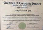 Fzt. Simge Kaya Fizyoterapi sertifikası