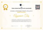 Psk. Ayşenur Taş Psikoloji sertifikası