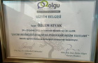 Psk. Dan. Özlem Kıyak Psikolojik Danışman sertifikası