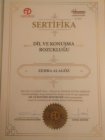 Aile Danışmanı Zehra Alagöz Aile Danışmanı sertifikası