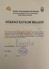 Psk. Dan. Ayşenur Baştürk Taş Psikolojik Danışman sertifikası
