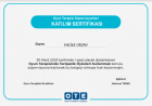 Psk. Dan. Melike Orçan Psikolojik Danışman sertifikası