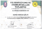 Dt. Esma Vesile Bayram Diş Hekimi sertifikası