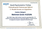Klinik Psikolog  Mehmet Emin Kızgın Psikoloji sertifikası