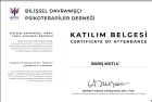 Psk. Dan. Barış Mutlu Psikolojik Danışman sertifikası