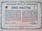 Uzm. Psk. Sibel Kaletaş Psikoloji sertifikası