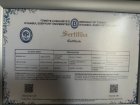 Psk. Bensu Donat Psikoloji sertifikası