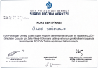 Uzm. Kl. Psk. Özge Yağmurlu Özkurt Klinik Psikolog sertifikası