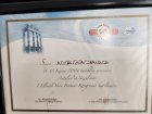 Op. Dr. Nurten Yavuz Plastik Rekonstrüktif ve Estetik Cerrahi sertifikası
