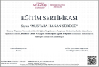 Uzm. Psk. Dan. Hakan Sürücü Psikolojik Danışman sertifikası