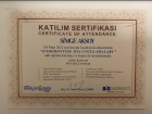 Uzm. Dt. Simge Aksoy Pedodonti (Çocuk Diş Hekimliği) sertifikası
