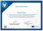 Psk. Gizem Pala Psikoloji sertifikası