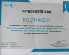 Psk. Belçim Akbay Psikoloji sertifikası