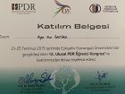 Psk. Dan. Ayşenur Baştürk Taş Psikolojik Danışman sertifikası