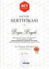 Psk. Beyza Bayırlı Psikoloji sertifikası
