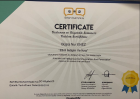 Dyt. Büşra Nur Enez Baş Diyetisyen sertifikası