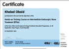 Op. Dr. Khaled Obaid Üroloji sertifikası