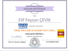 Dil ve Konuşma Terapisti Elif Feyzan ÇEVİK Dil Konuşma Bozuklukları sertifikası