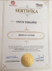Uzm. Dr. Berna Yinanç Diğer sertifikası