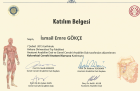 Op. Dr. İsmail Emre Gökce Genel Cerrahi sertifikası