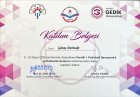 Uzm. Psk. Dan. Güneş Derinalp Psikolojik Danışman sertifikası