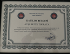 Psk. Ayşe Betül Gök Psikoloji sertifikası