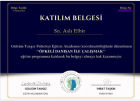 Psk. Aslı Elbir Psikoloji sertifikası