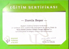 Psk. Damla Beşer Psikoloji sertifikası