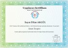 Klinik Psikolog  Dilan Akgül Psikoloji sertifikası