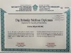 Dt. Emine Büşra Keklik Diş Hekimi sertifikası