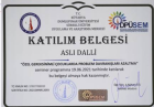 Aile Danışmanı Aslı Dallı Aile Danışmanı sertifikası