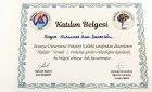 Psk. Muhammed İhsan Demetgül Psikoloji sertifikası