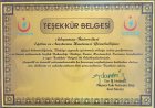 Prof. Dr. Fatih Doğan Plastik Rekonstrüktif ve Estetik Cerrahi sertifikası