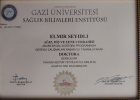 Uzm. Dr. Elmir Seyidli Diş Hekimi sertifikası