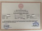 Uzm. Kl. Psk. Ayşenur Dalgıç Kanak Psikoloji sertifikası