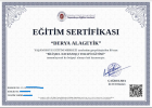 Psk. Derya Alageyik Psikoloji sertifikası