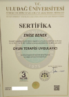 Çocuk Gelişim Enise Benek Çocuk Gelişim sertifikası