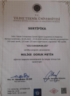 Psk. Dan. Melike Doruk Metin Psikoloji sertifikası