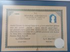 Dt. Ayşegül Zor Diş Hekimi sertifikası