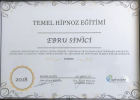 Uzm. Psk. Ebru Sinici Psikoloji sertifikası