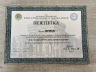 Klinik Psikolog  Eda Bilgin Klinik Psikolog sertifikası